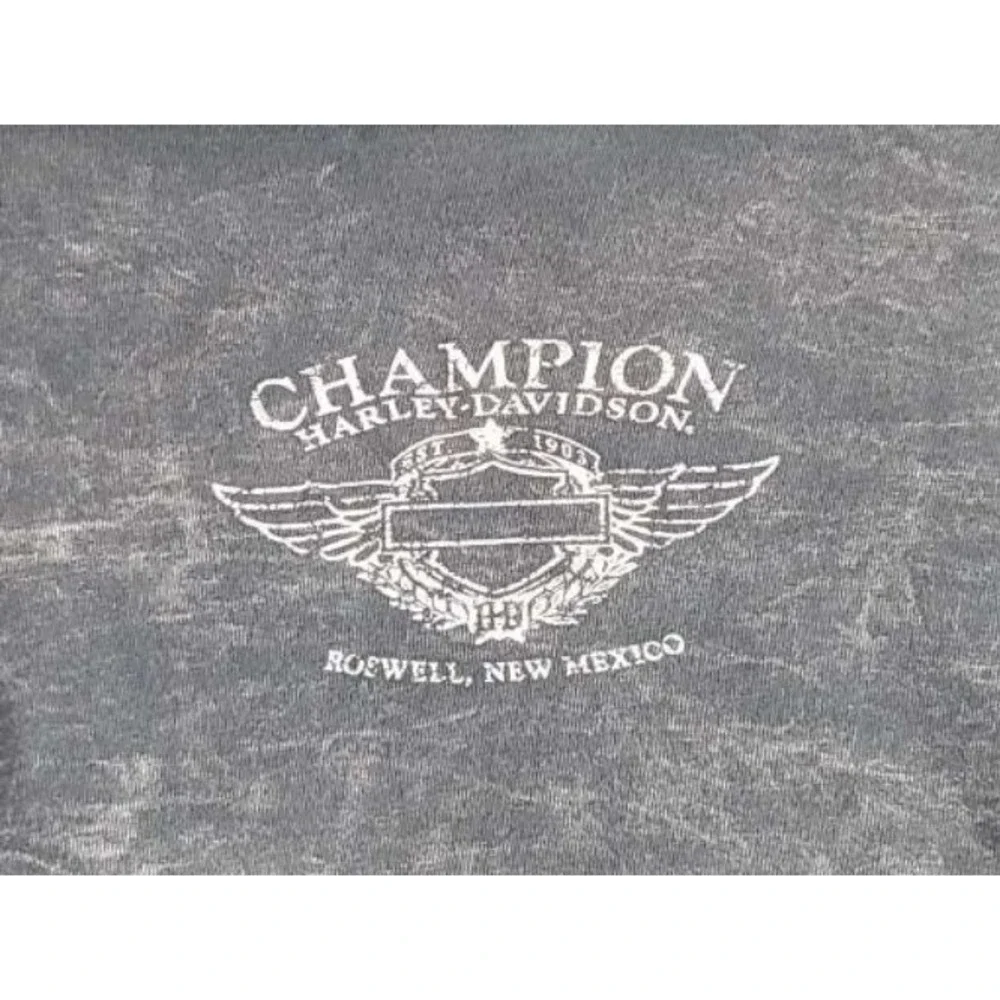 Vintage Y2K Harley Davidson Eagle Shirt Mens XXL Gray Roswell NM Grunge‎ Biker
